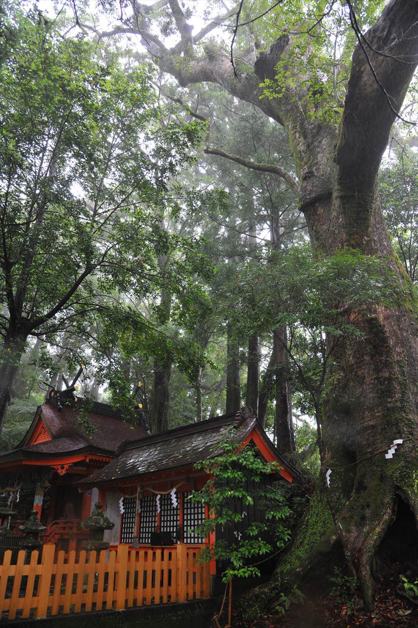 雨の高原熊野神社