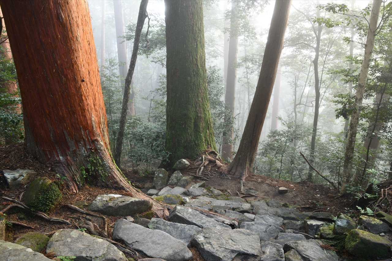 朝霧の月見ケ丘神社