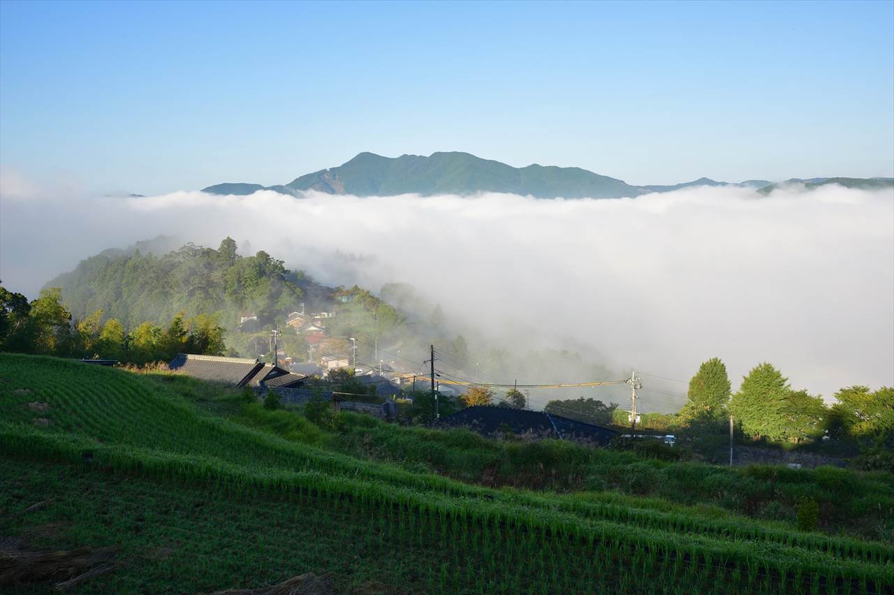 高原の朝霧
